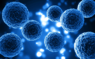 New clinical trial designs in the era of precision medicine