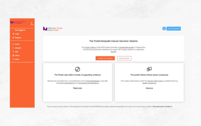 Seven European centres develop a web-based decision-making support tool for oncologist to improve treatment selection