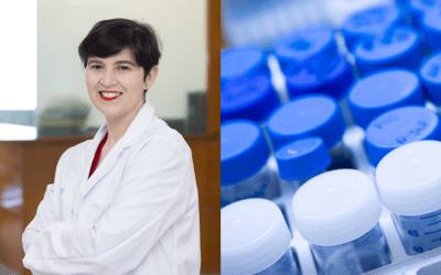 BoB: Pioneering Basket Trials for Advanced Solid Tumors Treatments 