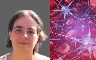Computational Oncology: Personalized Modeling of the Vascular Microenvironment to Predict Radiotherapy Outcomes in Head-and-Neck Cancer