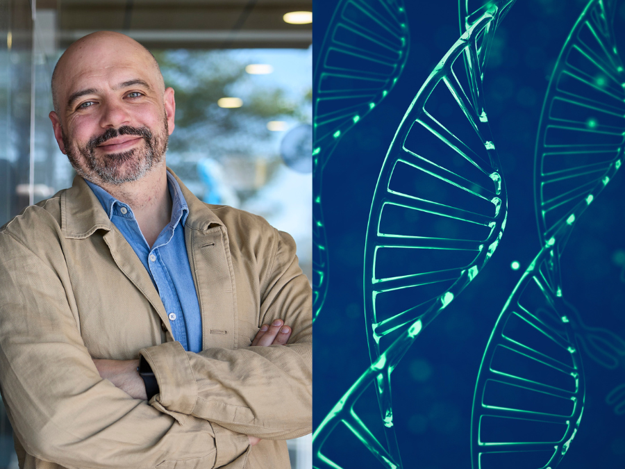 Dissecting the function of copy number alterations in cancer