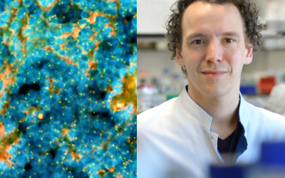 Epigenetic Plasticity in the Development, Treatment and Progression of Hormone-Driven Cancers