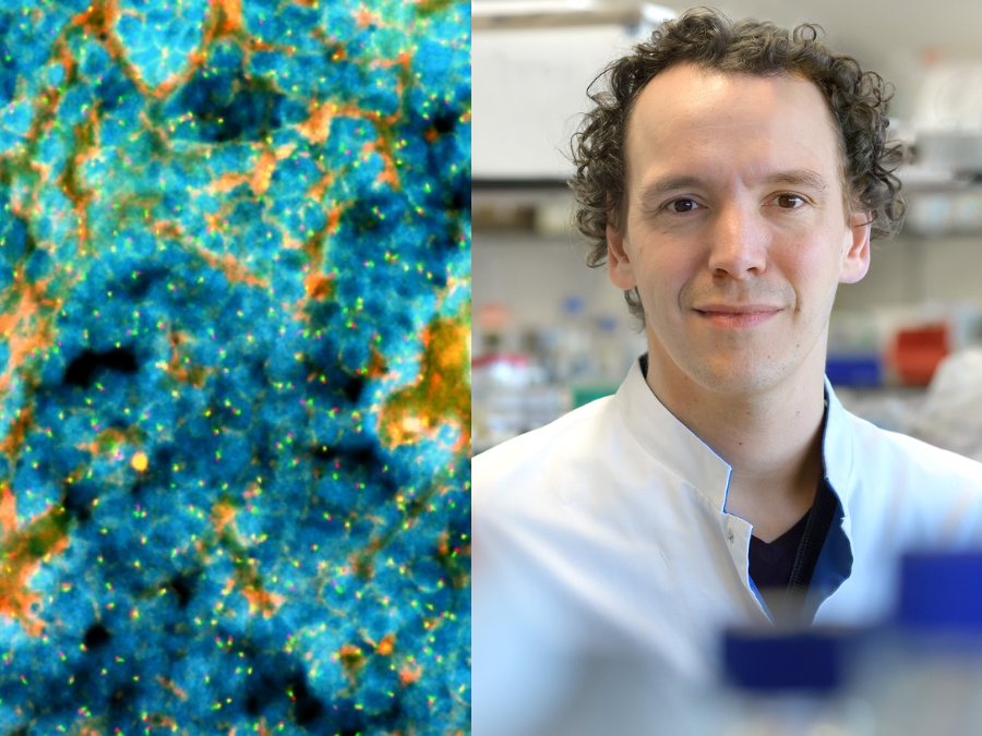 Epigenetic Plasticity in the Development, Treatment and Progression of Hormone-Driven Cancers