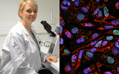 Patient-Derived Organoids as Decision-Making Tool in Precision Oncology