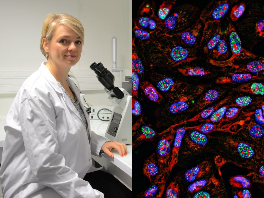 Patient-Derived Organoids as Decision-Making Tool in Precision Oncology